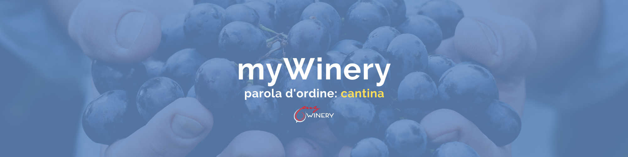 banner mywinery gestione cantina