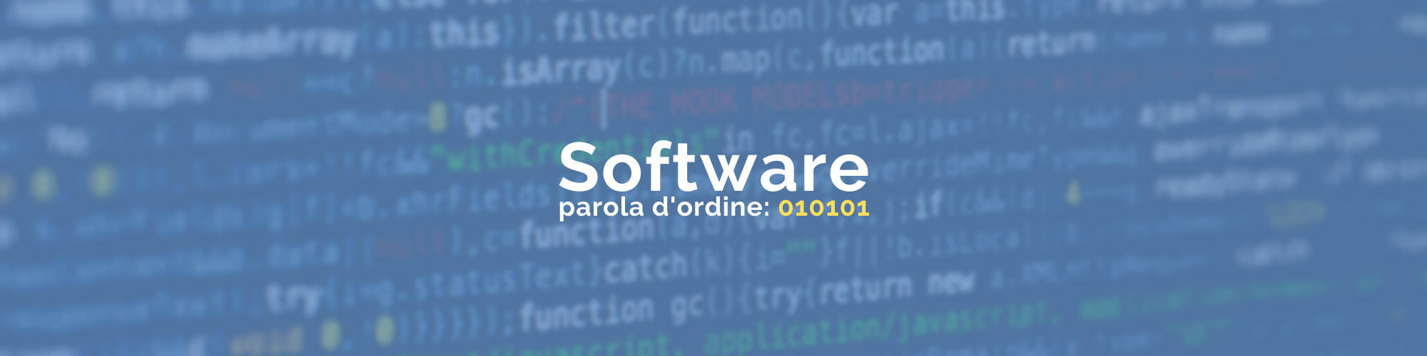 banner servizi software